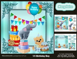1-5 Birthday Boy mini kit