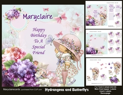 Hydrangeas and Butterflys mini kit