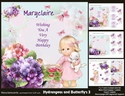 Hydrangeas and Butterflys 3 mini kit