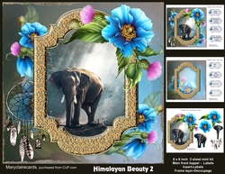Himalayan Beauty 2 mini kit