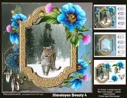 Himalayan Beauty 4 mini kit