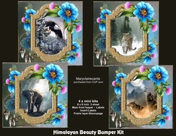 Himalayan Beauty Bumper Kit