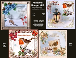 Christmas Bumper Kit 2