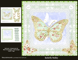 Butterfly Medley mini kit