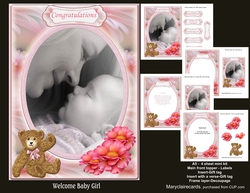 Welcome Baby Girl mini kit