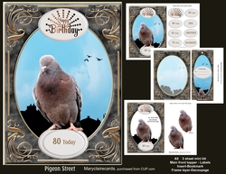 Pigeon Street mini kit