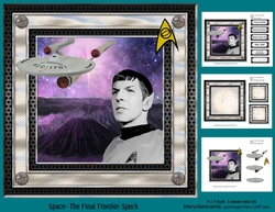 Space-The Final Frontier-Spock