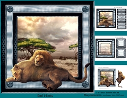 Dad 1-Lions