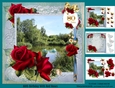 80th Birthday With Red Roses
