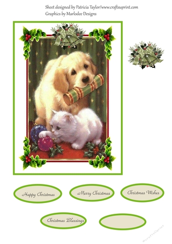 Animal Fun at Christmas