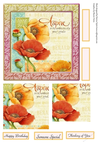 Poppy Summer