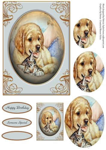 For the love of Cats and Dogs