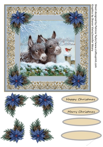 Little Donkey at Christmas time