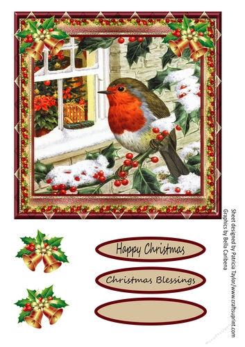 Robins Christmas Wishes
