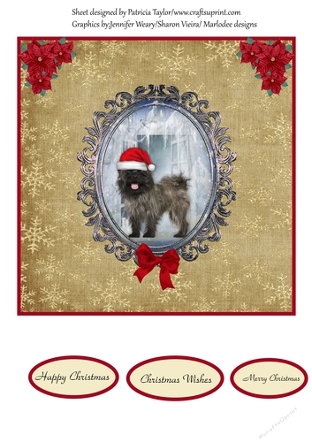 Puppy at Christmas