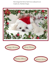 Christmas Blessings