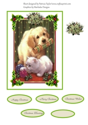 Animal Fun at Christmas