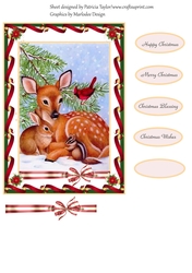 Wildlife Winter