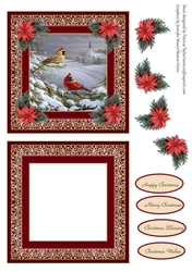 Song bird winter