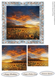 Sunflower View