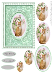 Spring Time Cat