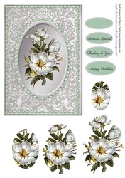 Special Floral Greetings