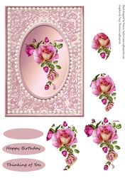 Roses in spring time