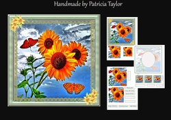Sunflower and Butterfly