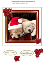 Peaceful Christmas