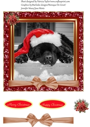 Its a Dogs Life at Christmas
