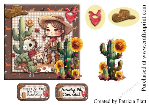 Cowgirl Topper