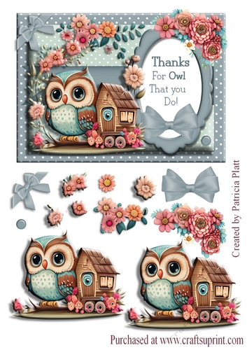 Thanks For Owl That You Do # 2 Decoupage Card Topper 5x7