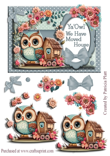 Ya Owl We Have Moved House Decoupage Card Topper 5x7
