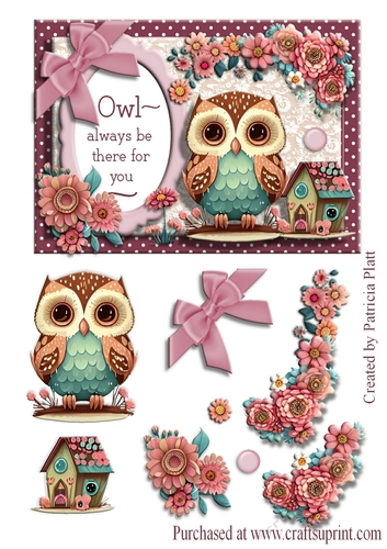Owl Always Be There For You #4 Decoupage Card Topper 5x7