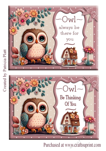 Double 5x7 Owl Toppers Very quick cards