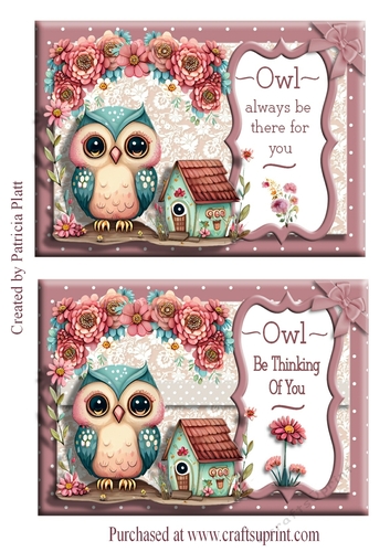 Double 5x7 Owl Toppers Very quick cards #2