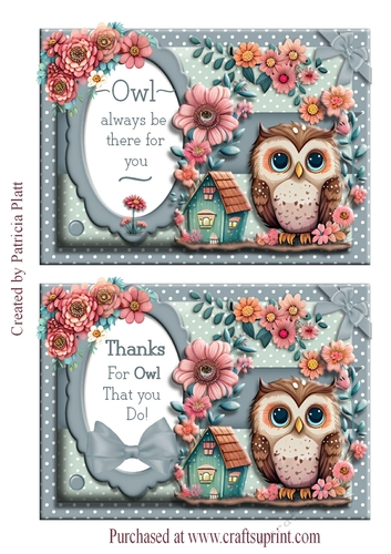 Double 5x7 Owl Toppers Very quick cards #3