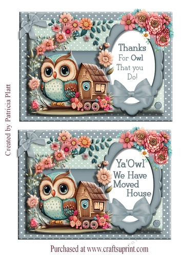 Double 5x7 Owl Toppers Very quick cards #4