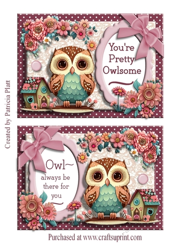 Double 5x7 Owl Toppers Very quick cards #5