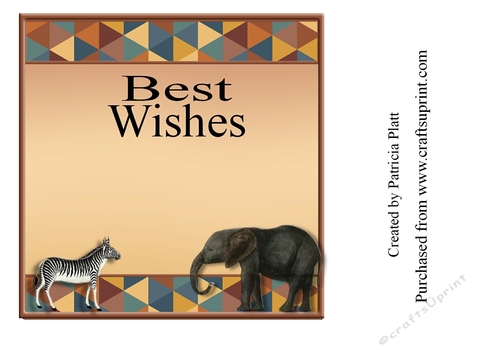 African Baby Wildcats 7x7 Square Best Wishes Insert