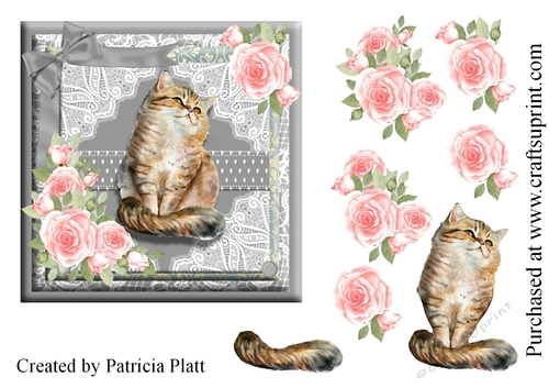 Cute Kitten #1 with Pink Roses 6x6