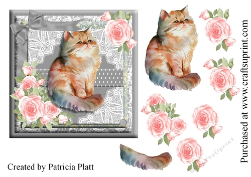 Cute Kitten and Pink Roses #2 6x6