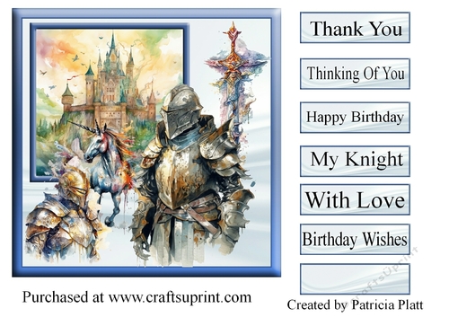 Knights Birthday 7x7
