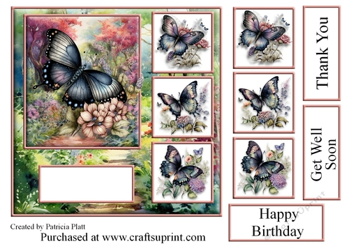 7x7 Black Butterflies Floral Path