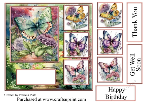 7x7 Rainbow Butterflies Floral Path