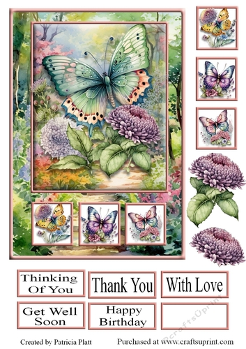 A5 Rainbow Butterflies Floral Path