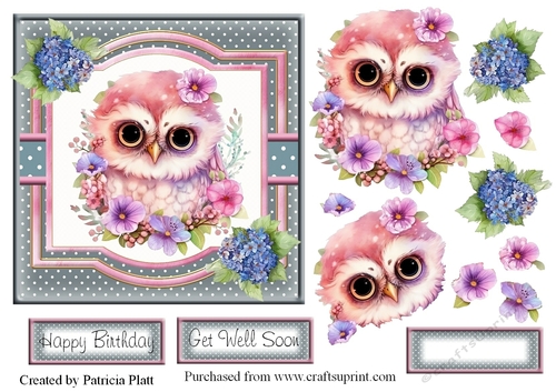 Cute Little Owl and Flowers 6x6