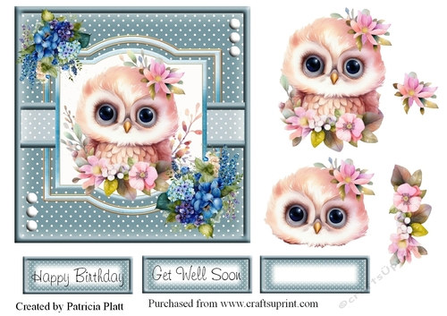 Cute Pink Owl with Flowers 6x6