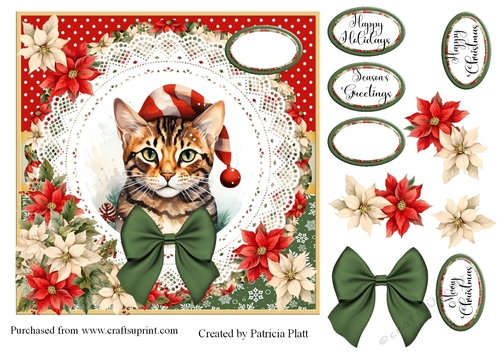 7x7 Christmas Tabby Cat