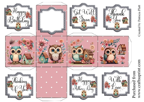 2.5 Owls Box For all Different Occasions